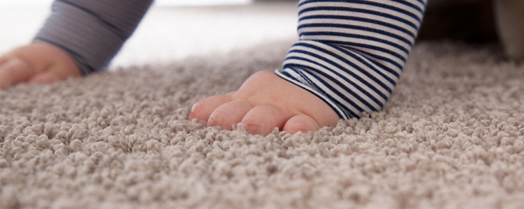 Carpet Cleaning Services In Fishers